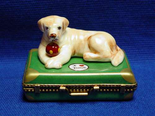 YELLOW LAB ON SUITCASE